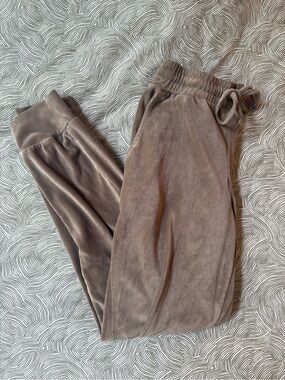 Women's Plush Velour Joggers - Taupe